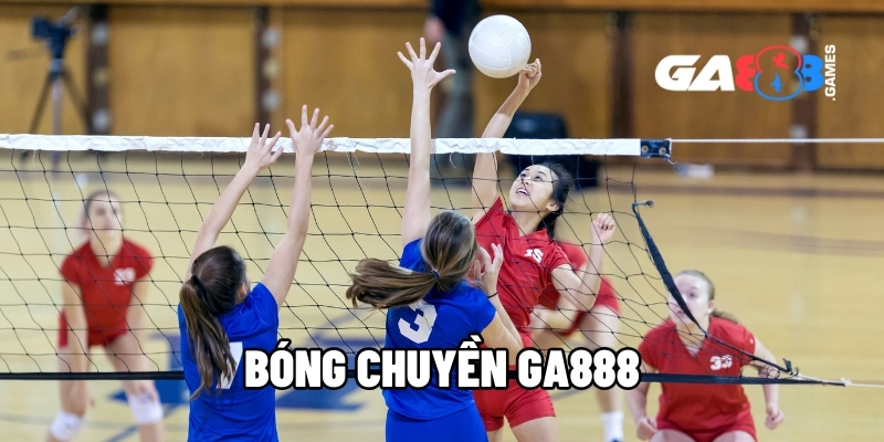 bong chuyen ga888 1