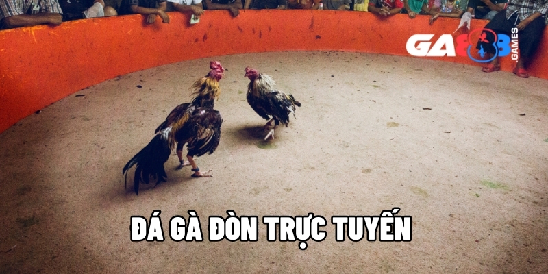 da ga don truc tuyen 1