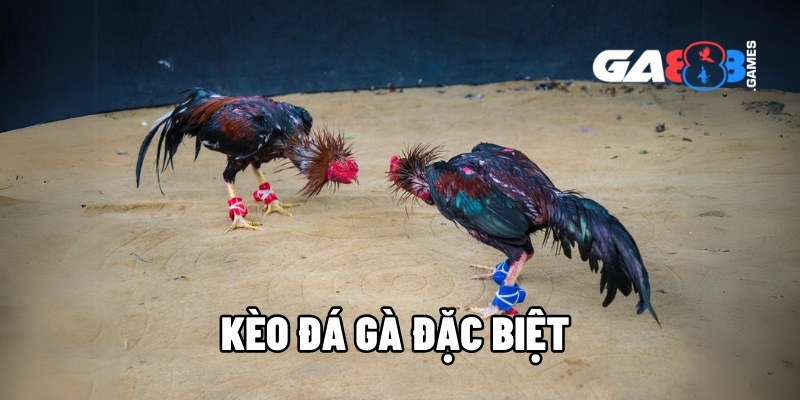 keo da ga dac biet 1