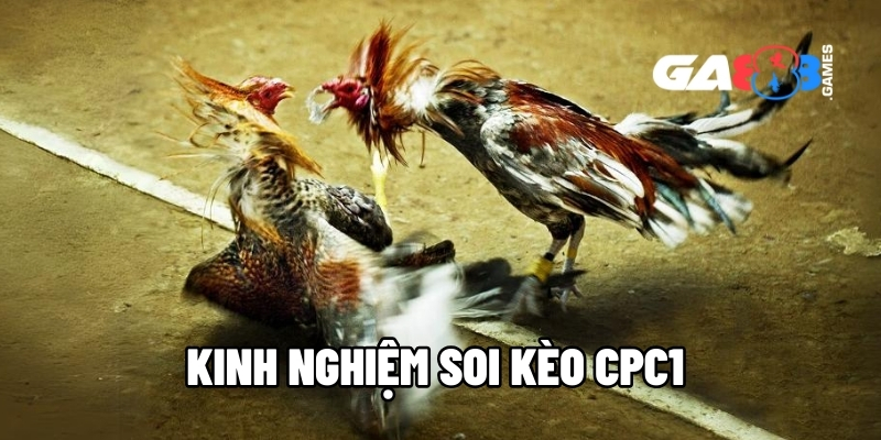 kinh nghiem soi keo cpc1 1
