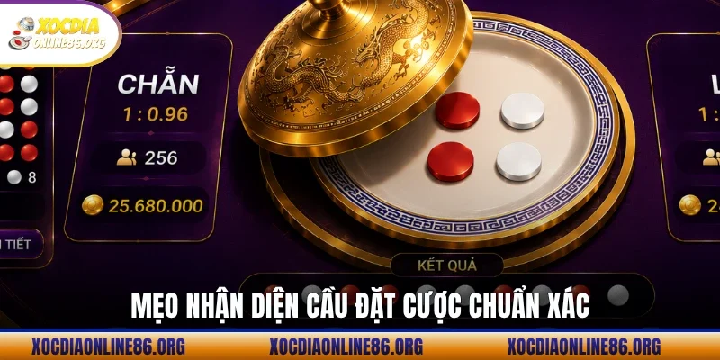 Mẹo nhận diện cầu đặt cược chuẩn xác